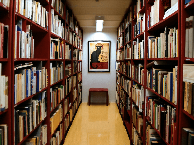 Library stacks in Mainz
