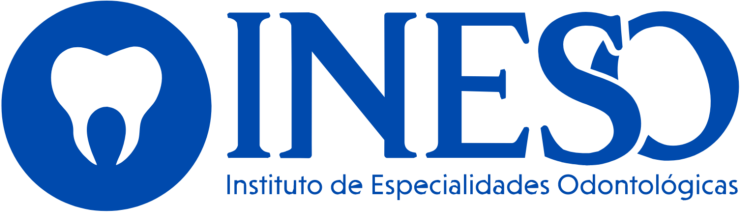 Logo ineso